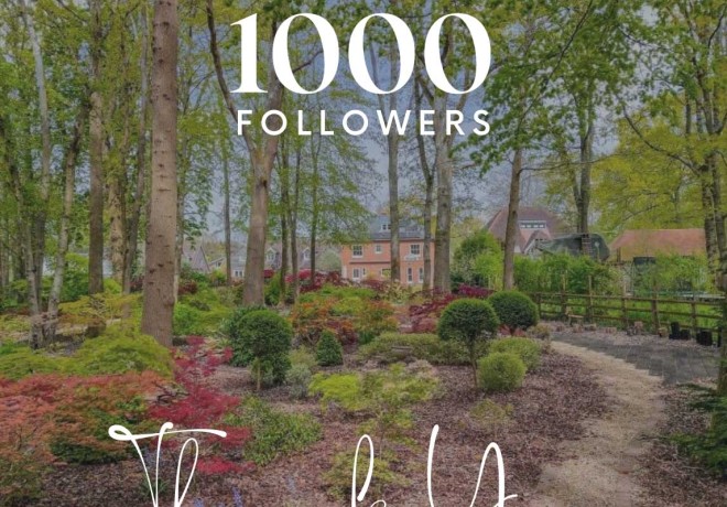 We reached 1000 Followers! 